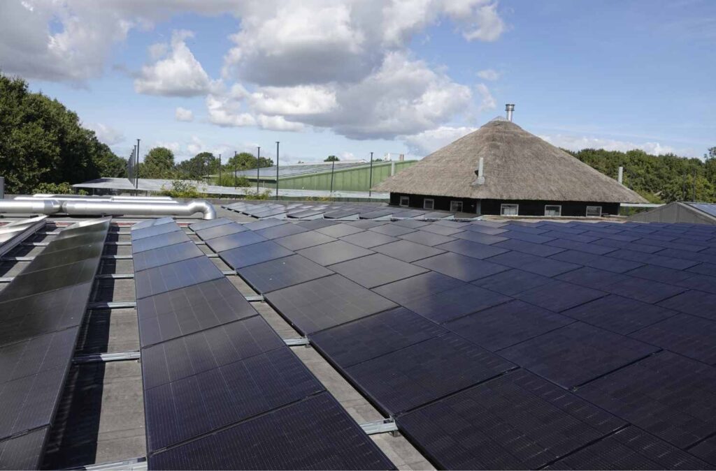 Zakelijk zonnepanelen