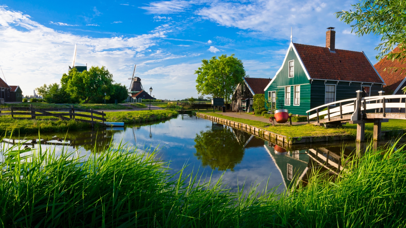Zonnepanelen Zaandam